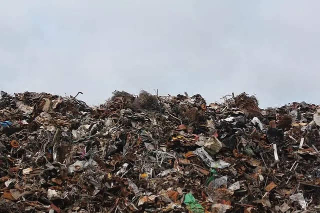 Top 10 Tips for Ensuring a Smooth Junk Removal Process