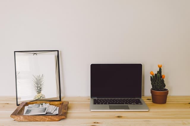 How to Organize Your Junk Removal Process Efficiently